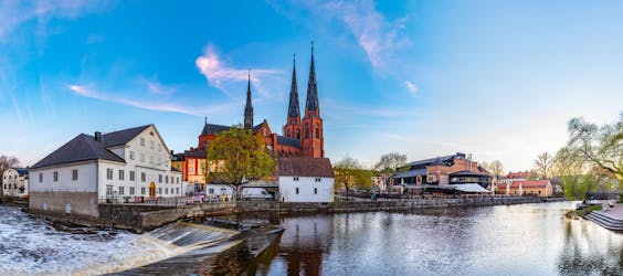 Uppsala and Sigtuna half-day private tour